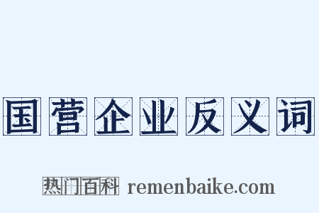 国营企业反义词是什么意思的图片